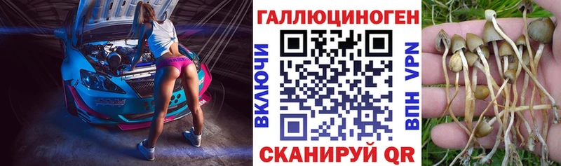 Псилоцибиновые грибы прущие грибы  Кремёнки 